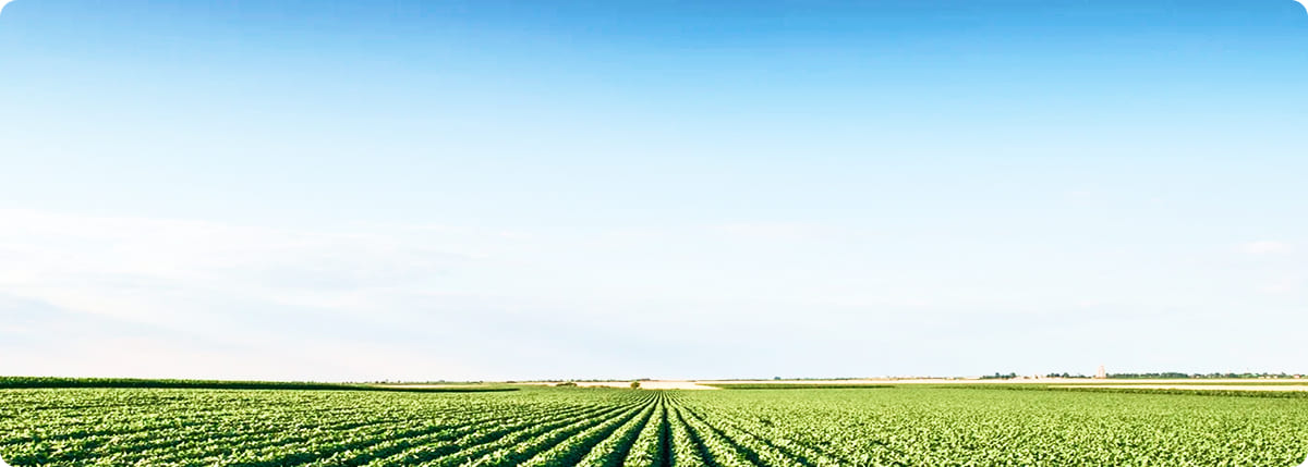 Comece a criar Cotações de forma organizada